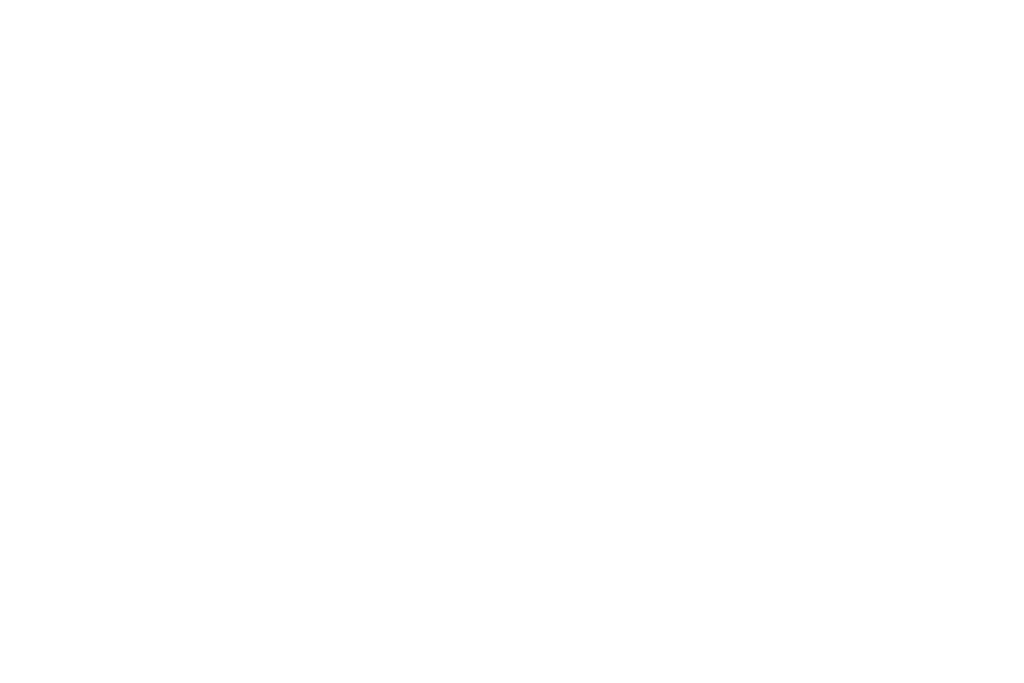 zhisch